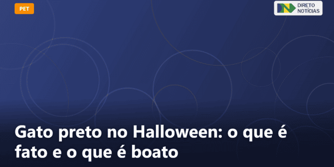 Gato preto no Halloween: o que é fato e o que é boato — Direto Notícias