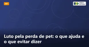 Luto pela perda de pet: o que ajuda e o que evitar dizer — Direto Notícias
