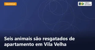 Seis animais são resgatados de apartamento em Vila Velha — Direto Notícias