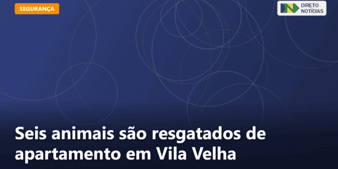 Seis animais são resgatados de apartamento em Vila Velha — Direto Notícias