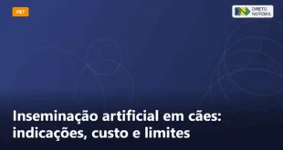 Inseminação artificial em cães: indicações, custo e limites — Direto Notícias