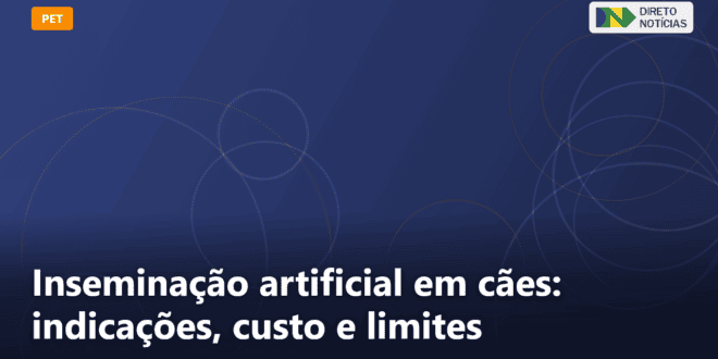 Inseminação artificial em cães: indicações, custo e limites — Direto Notícias