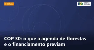 COP 30: o que a agenda de florestas e o financiamento previam — Direto Notícias
