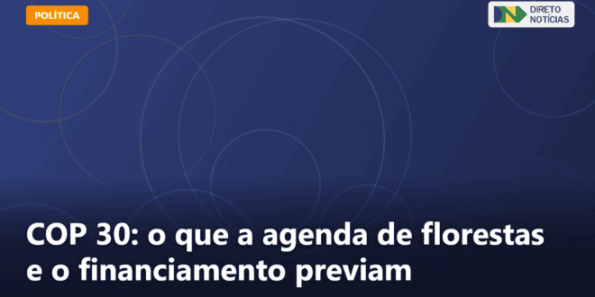 COP 30: o que a agenda de florestas e o financiamento previam — Direto Notícias