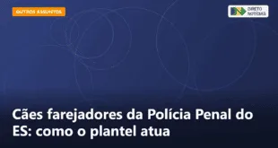 Cães farejadores da Polícia Penal do ES: como o plantel atua — Direto Notícias