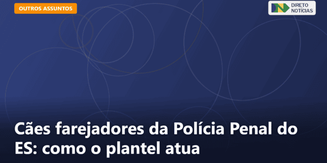 Cães farejadores da Polícia Penal do ES: como o plantel atua — Direto Notícias