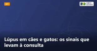 Lúpus em cães e gatos: os sinais que levam à consulta — Direto Notícias
