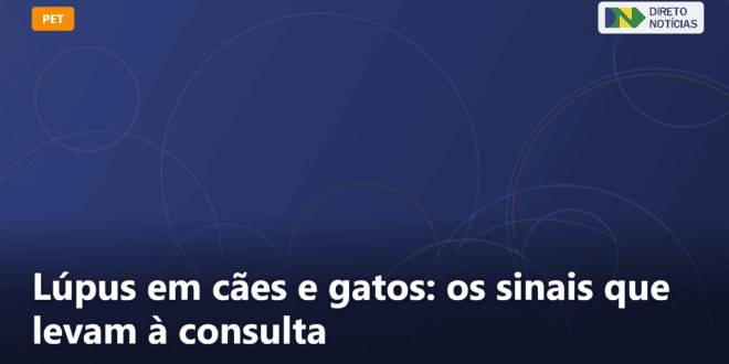 Lúpus em cães e gatos: os sinais que levam à consulta — Direto Notícias