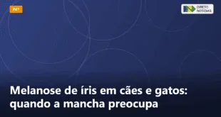 Melanose de íris em cães e gatos: quando a mancha preocupa — Direto Notícias