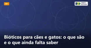Bióticos para cães e gatos: o que são e o que ainda falta saber — Direto Notícias