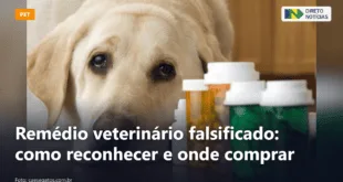 Remédio veterinário falsificado: como reconhecer e onde comprar — Direto Notícias