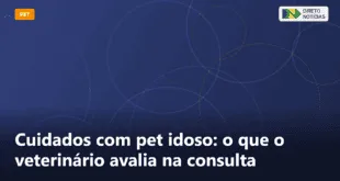 Cuidados com pet idoso: o que o veterinário avalia na consulta — Direto Notícias