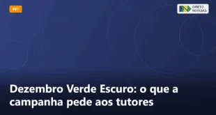 Dezembro Verde Escuro: o que a campanha pede aos tutores — Direto Notícias