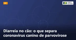 Diarreia no cão: o que separa coronavírus canino de parvovirose — Direto Notícias