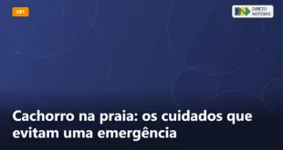 Cachorro na praia: os cuidados que evitam uma emergência — Direto Notícias