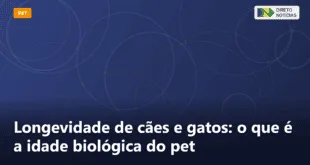 Longevidade de cães e gatos: o que é a idade biológica do pet — Direto Notícias