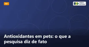 Antioxidantes em pets: o que a pesquisa diz de fato — Direto Notícias