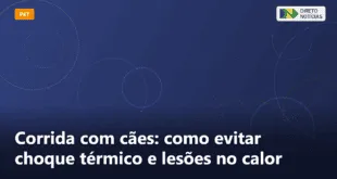 Corrida com cães: como evitar choque térmico e lesões no calor — Direto Notícias