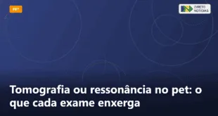 Tomografia ou ressonância no pet: o que cada exame enxerga — Direto Notícias