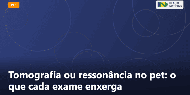 Tomografia ou ressonância no pet: o que cada exame enxerga — Direto Notícias