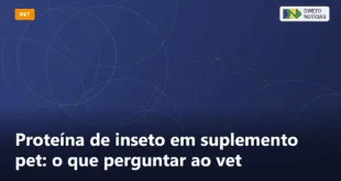 Proteína de inseto em suplemento pet: o que perguntar ao vet — Direto Notícias