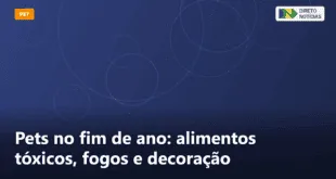 Pets no fim de ano: alimentos tóxicos, fogos e decoração — Direto Notícias