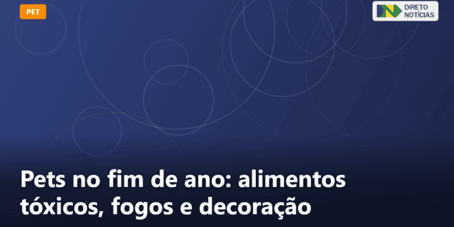 Pets no fim de ano: alimentos tóxicos, fogos e decoração — Direto Notícias