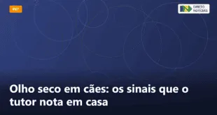 Olho seco em cães: os sinais que o tutor nota em casa — Direto Notícias