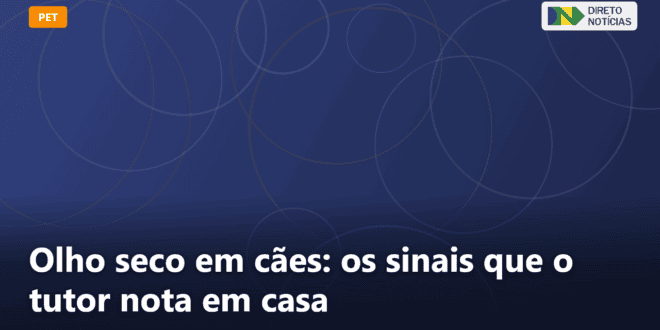 Olho seco em cães: os sinais que o tutor nota em casa — Direto Notícias