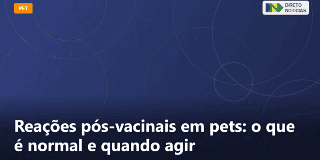 Reações pós-vacinais em pets: o que é normal e quando agir — Direto Notícias