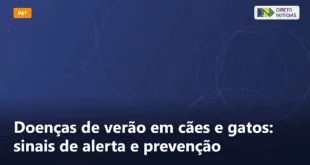 Doenças de verão em cães e gatos: sinais de alerta e prevenção — Direto Notícias