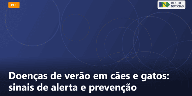 Doenças de verão em cães e gatos: sinais de alerta e prevenção — Direto Notícias