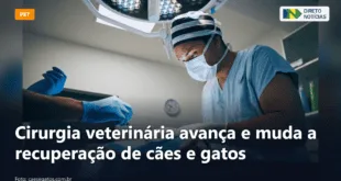 Cirurgia veterinária avança e muda a recuperação de cães e gatos — Direto Notícias