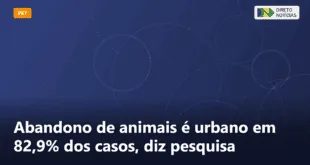 Abandono de animais é urbano em 82,9% dos casos, diz pesquisa — Direto Notícias
