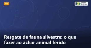 Resgate de fauna silvestre: o que fazer ao achar animal ferido — Direto Notícias