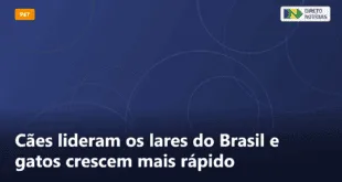 Cães lideram os lares do Brasil e gatos crescem mais rápido — Direto Notícias