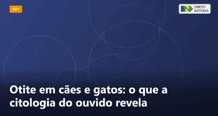 Otite em cães e gatos: o que a citologia do ouvido revela — Direto Notícias