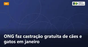 ONG faz castração gratuita de cães e gatos em janeiro — Direto Notícias