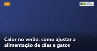 Calor no verão: como ajustar a alimentação de cães e gatos — Direto Notícias