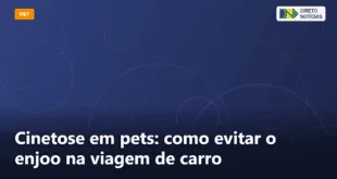 Cinetose em pets: como evitar o enjoo na viagem de carro — Direto Notícias