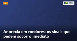 Anorexia em roedores: os sinais que pedem socorro imediato — Direto Notícias