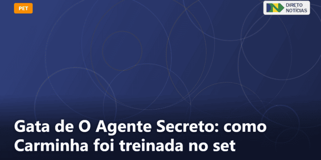 Gata de O Agente Secreto: como Carminha foi treinada no set — Direto Notícias