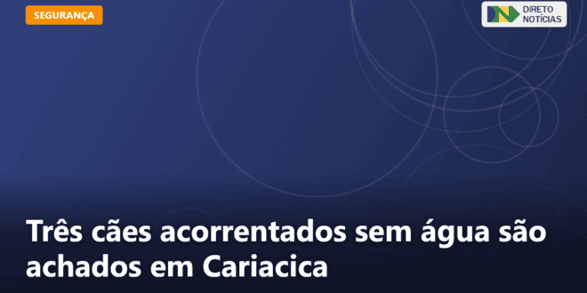 Três cães acorrentados sem água são achados em Cariacica — Direto Notícias