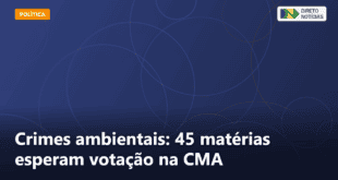 Crimes ambientais: 45 matérias esperam votação na CMA — Direto Notícias