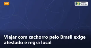 Viajar com cachorro pelo Brasil exige atestado e regra local — Direto Notícias