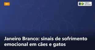 Janeiro Branco: sinais de sofrimento emocional em cães e gatos — Direto Notícias
