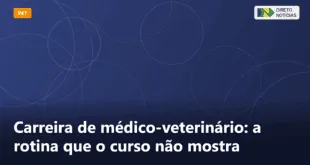 Carreira de médico-veterinário: a rotina que o curso não mostra — Direto Notícias