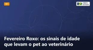 Fevereiro Roxo: os sinais de idade que levam o pet ao veterinário — Direto Notícias