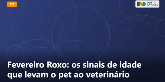 Fevereiro Roxo: os sinais de idade que levam o pet ao veterinário — Direto Notícias