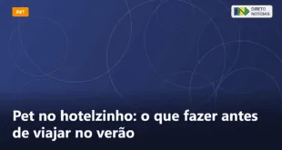 Pet no hotelzinho: o que fazer antes de viajar no verão — Direto Notícias